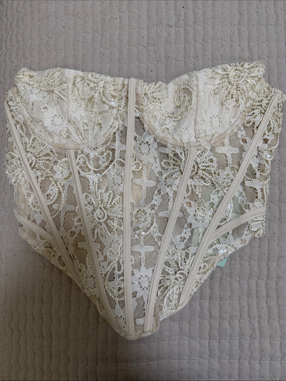Strapless Lace Embellished Bustier in Ivory